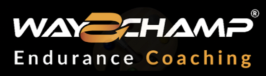 logo endurance
