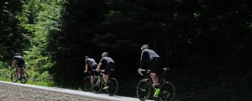 three cyclists in the woods